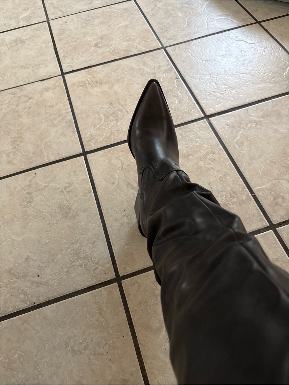 Women’s Dark Brown Pointed Toe Leather Boots